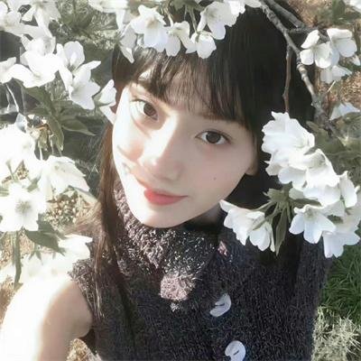 万物生灵 第二季