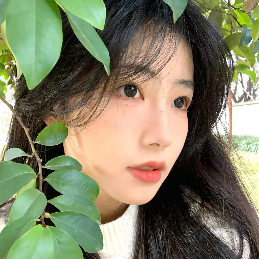 圆梦