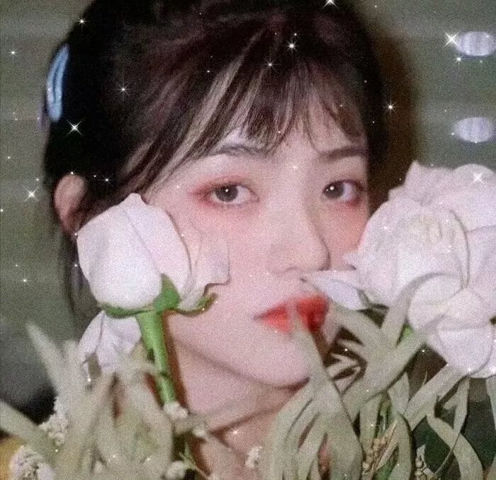 疯城记第二季